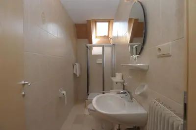 a bathroom with a sink and a toilet and a mirror at Pension Peintner in Gais