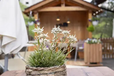 a basket with white flowers on a wooden table at Apartments Rondula Pic in Santa Cristina in Val Gardena