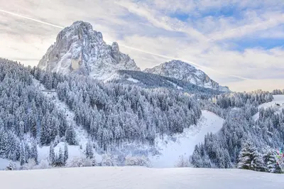a snow covered mountain with trees and a ski slope at Apartments Martina in Selva
