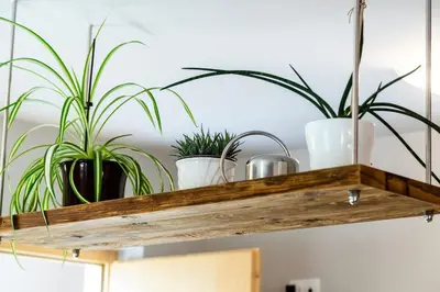 a wooden shelf with potted plants on it at Residence Engel in Nova Levante