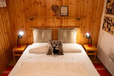 a bedroom with a bed with a black cat on it at Cesa Leo in Canazei