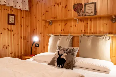 a bedroom with a bed with a black deer pillow at Cesa Leo in Canazei