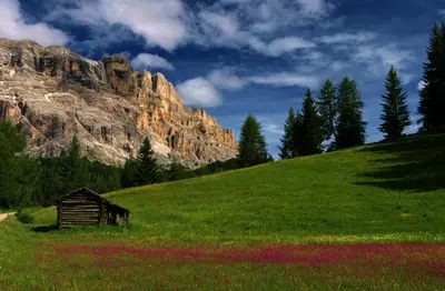 a field of red flowers in front of a mountain at Ciasa Mirio' in La Valle