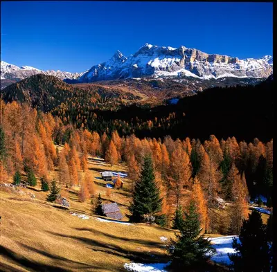 a field with trees and a mountain in the background at Ciasa Mirio' in La Valle
