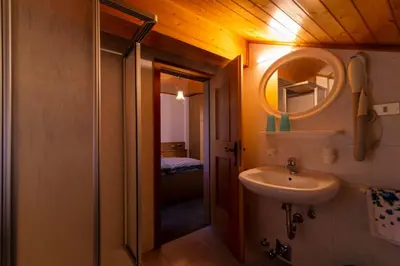 a bathroom with a sink and a mirror at Appartamenti Césa Col De Pin in Canazei