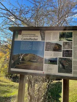 a sign for the cassiter interpretive trail at Apartman Anda in Cavalese