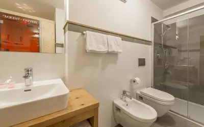 a bathroom with a sink and a toilet and a shower at Waldheim Appartements in Bressanone