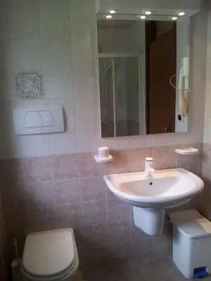 a bathroom with a sink and a toilet and a mirror at Chalet Belvedere in Arabba