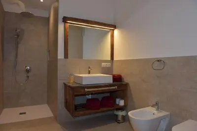 a bathroom with a sink and a mirror and a toilet at Pignathof Rosacea in Campodazzo
