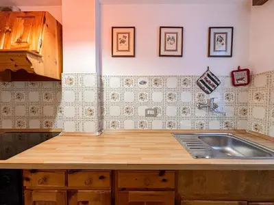 a kitchen with a sink and a counter top at Appartamenti Des Alpes in Canazei