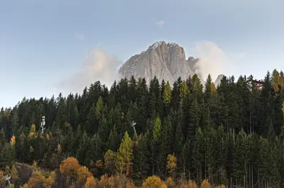 a mountain in the middle of a forest with trees at Chalet Urela Luxury Apartment in Santa Cristina in Val Gardena