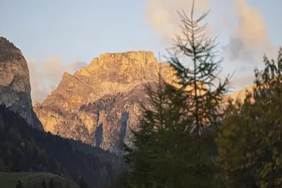 a mountain in the middle of a forest at Chalet Urela Luxury Apartment in Santa Cristina in Val Gardena