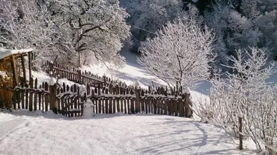 a fence covered in snow next to some trees at Vitroler Hof in Rodengo