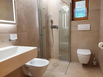 a bathroom with a shower and a toilet and a sink at Vitroler Hof in Rodengo