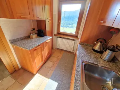 a small kitchen with a sink and a window at HT - Ciasa Dahu Cortina Escape in San Vito di Cadore