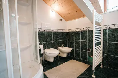 a bathroom with a toilet and a sink and a shower at Zirmo - Your nordic stay in Tesero