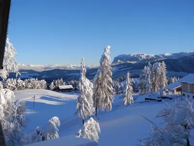 a snow covered yard with trees and a house at Haus Schlernblick in Nova Ponente