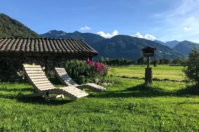 a bench sitting in the grass next to a gazebo at Rieplhof - Relaxing farm stay with breakfast and mountain view in Vipiteno