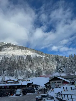 a ski resort with snow covered trees and a mountain at Ski Lodge Pampeago in Tesero