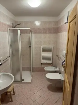 a bathroom with a shower and a toilet and a sink at Ski Lodge Pampeago in Tesero