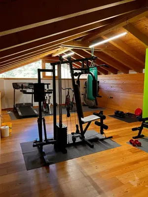 a room with a gym with a treadmill and weights at Agriturismo Busa dei Sbrase in San Cipriano