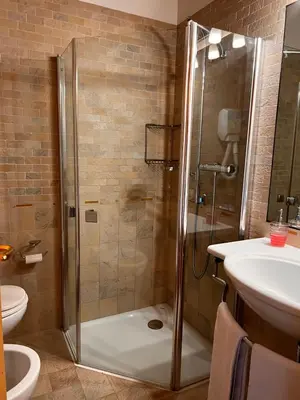 a bathroom with a shower and a toilet and a sink at Agriturismo Busa dei Sbrase in San Cipriano