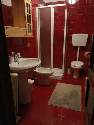 a bathroom with a sink and a toilet and a shower at La tua piccola casa a Pecol in Mareson