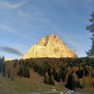 a large mountain in the middle of a forest at La tua piccola casa a Pecol in Mareson