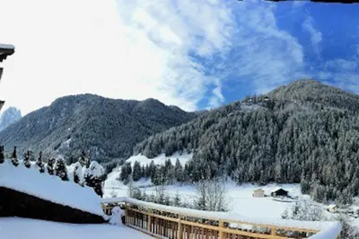 a snow covered mountain with trees in the distance at Mountain Chalet Ghilga in Ortisei
