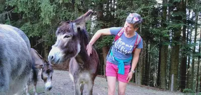 a young girl is standing next to a donkey at Schornhof in Aldino