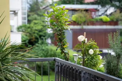 a balcony with flowers and plants on it at Terrace 27 in Bolzano