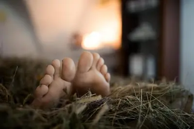 a pair of feet in a nest of hay at Romantik Hotel Jagdhof in Caldaro