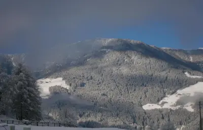 a mountain covered in trees with snow on it at Haus Spielbichl in San Lorenzo di Sebato