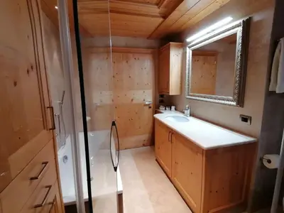 a bathroom with a sink and a shower and a mirror at Casa Mariella - Apartment with garden in Tesero