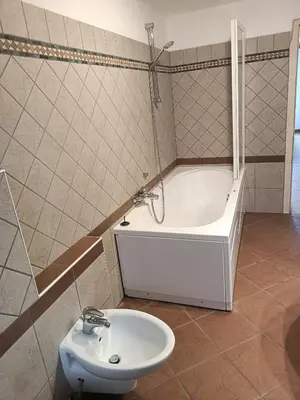 a bathroom with a bath tub and a sink at Appartamento Robert Arabba in Livinallongo del Col di Lana