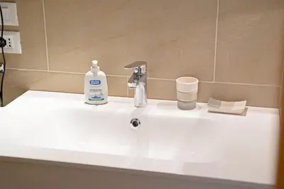 a bathroom sink with a bottle of soap and a soap dispenser at Le Nasse in San Martino di Castrozza