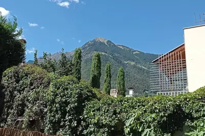 a view of a mountain with trees and a building at Appartement Laurin 2 guestcard incl in Merano