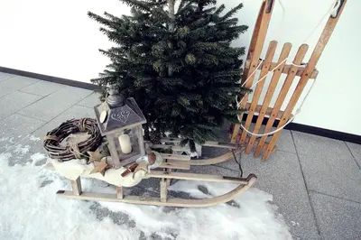 a christmas tree on a sled next to a christmas tree at Residenz Erschbaum in Valdaora