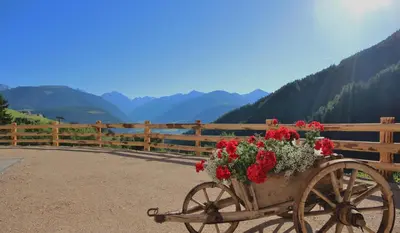 a wooden cart filled with red flowers on a road at Residenz Erschbaum in Valdaora