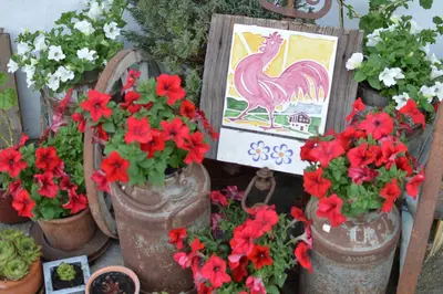 a group of potted flowers and a picture of a chicken at Niedermairhof in Falzes