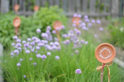 a garden with purple flowers and orange signs in the grass at Niedermairhof in Falzes