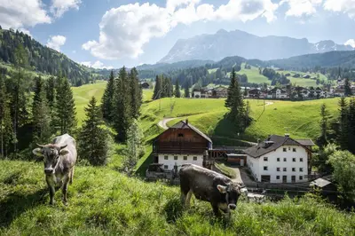 a large kitchen with stainless steel counters and appliances at Lüch da Murin in Badia