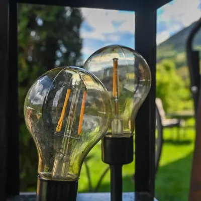 two light bulbs sitting on top of a table at Pitzoler Hof in Albes