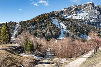 a mountain covered in trees and snow on a dirt road at ciasa monaco in Corvara in Badia