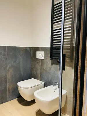 a bathroom with a toilet and a sink at Nuovo e comodo in Val di Fassa in Campitello