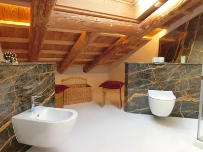 a bathroom with a sink and a toilet at CORTINA Lodge in Cortina dʼAmpezzo