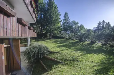 a grassy yard with a plant sitting next to a house at Villa Lucente in Alvera