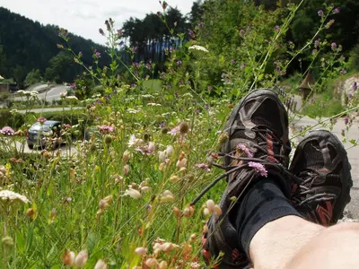 a person with their feet up in a field of flowers at Lenzerhof in Lappago