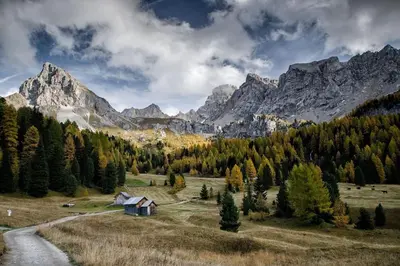 a house in a field with mountains in the background at Dolomiti Haus - Immerso nelle Dolomiti in Tesero