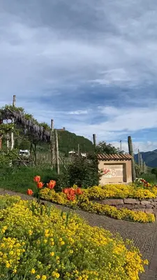 a garden with flowers in front of a building at Gfillhof Ferienwohnung 2 in Appiano sulla Strada del Vino